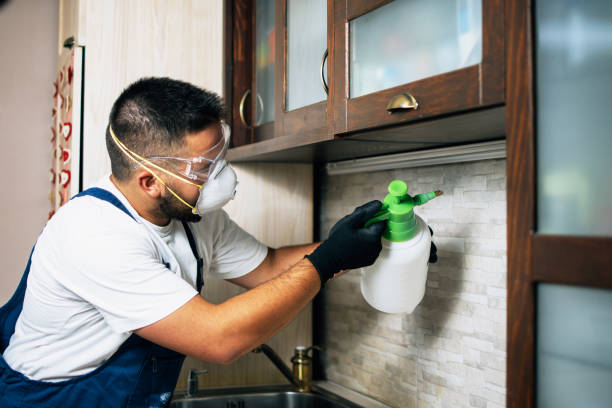 Best Commercial Pest Control Services  in Winsted, CT