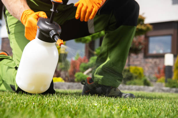 Best Bird Control  in Winsted, CT