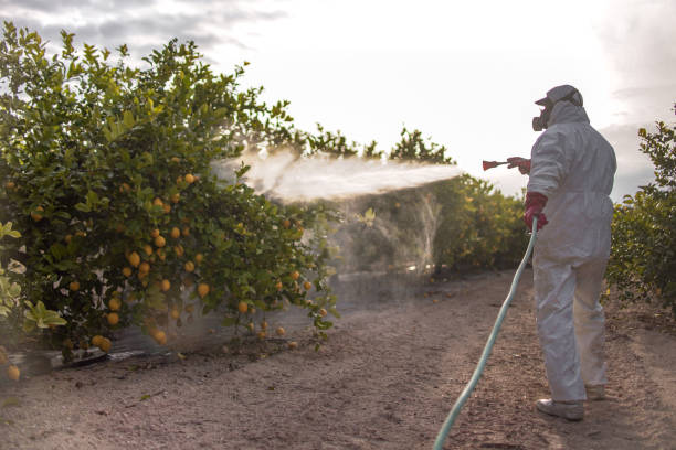 Best Residential Pest Control  in Winsted, CT