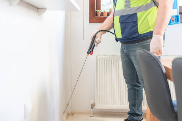 Best Ant Control Services  in Winsted, CT