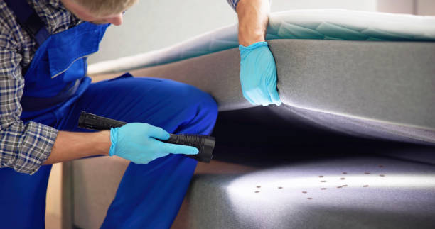 Best Affordable Pest Control Services  in Winsted, CT