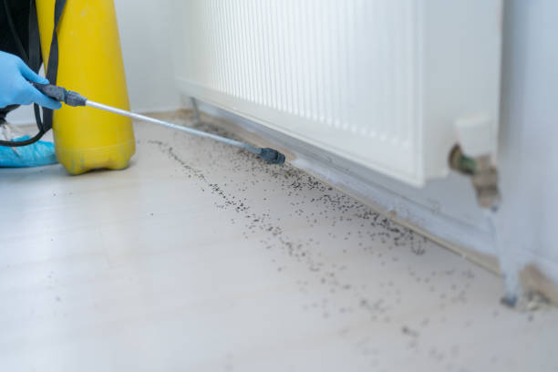 Best Affordable Exterminators  in Winsted, CT