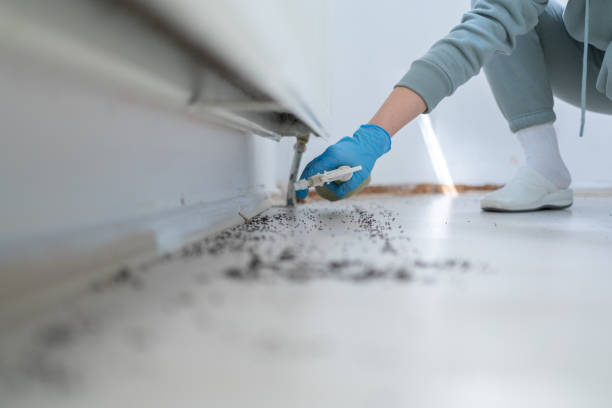 Best Mosquito Control Services  in Winsted, CT