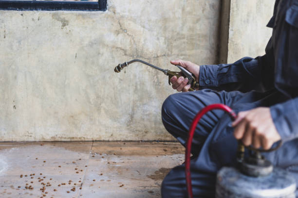 Best Pest Removal Services  in Winsted, CT